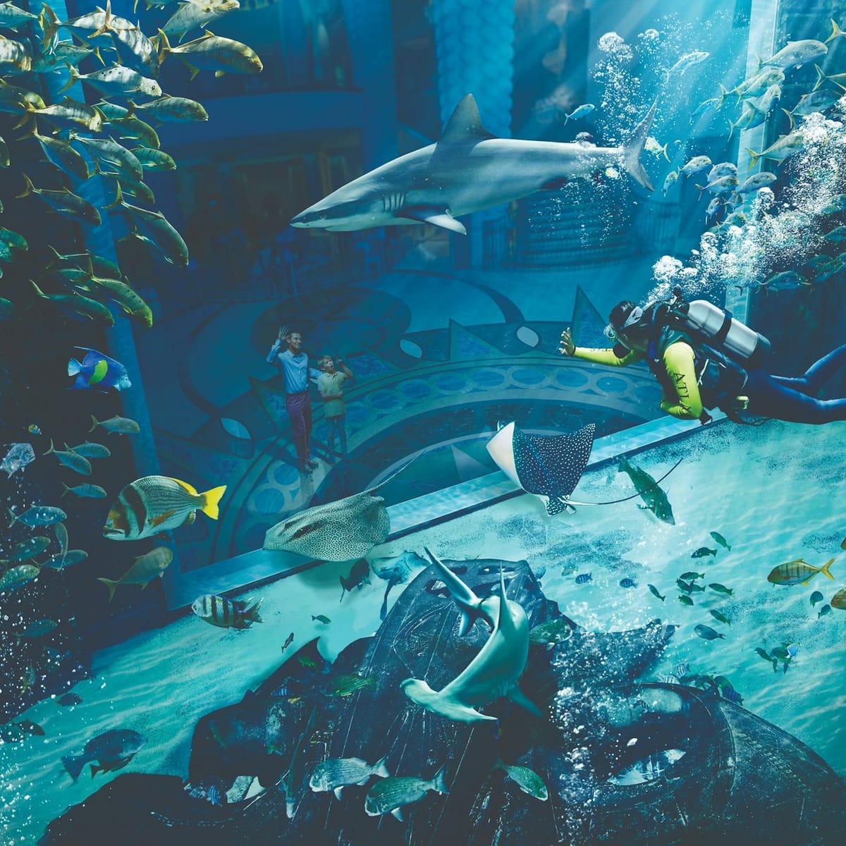 the-lost-chambers-aquarium-diving-snorkeling-experiences_1